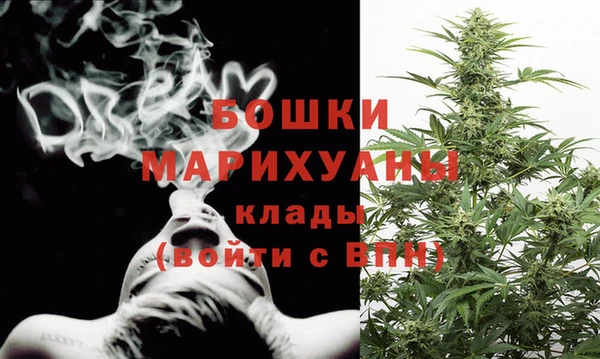 Альфа ПВП Белокуриха